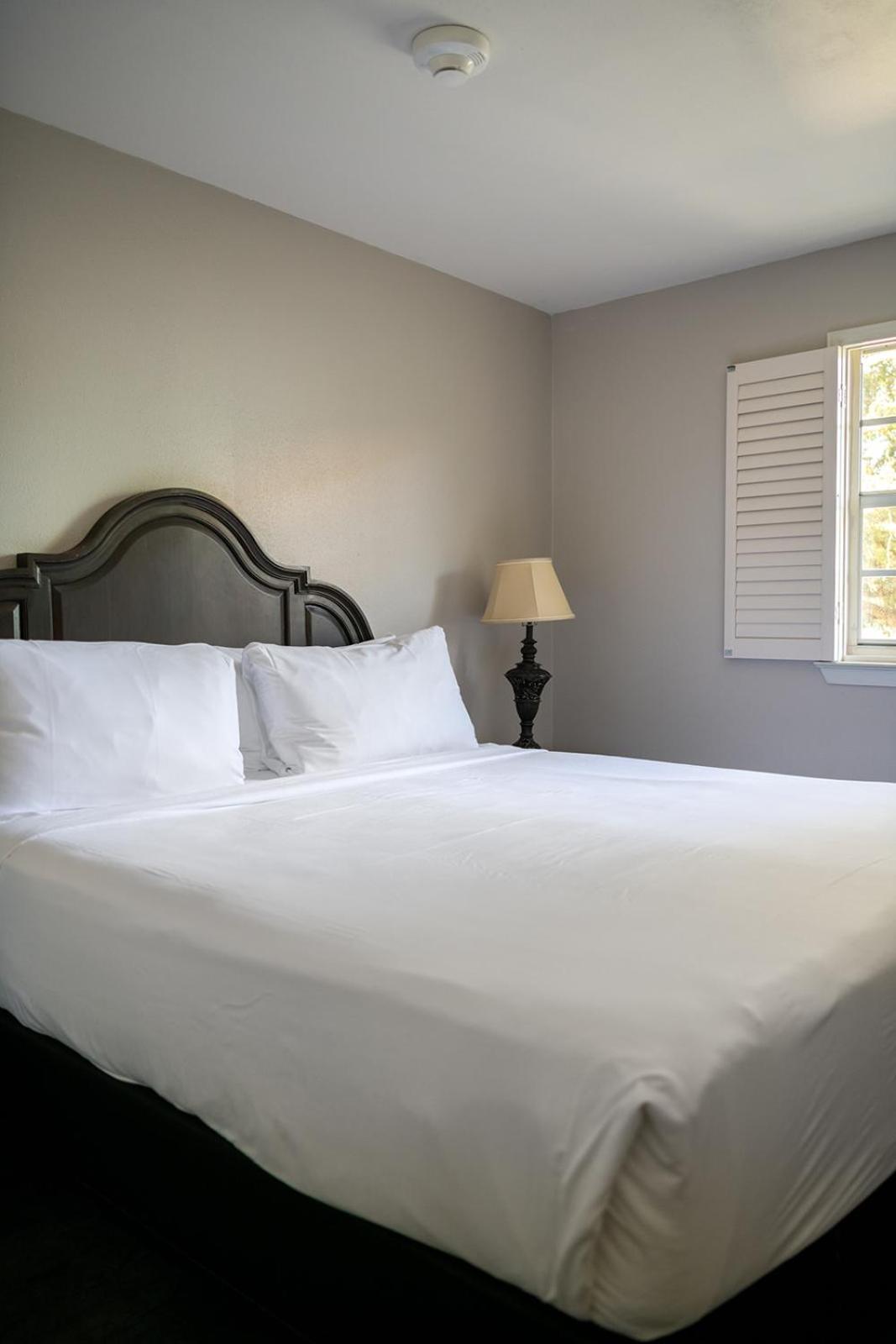 French Quarter Suites Hotel New Orleans Exterior foto